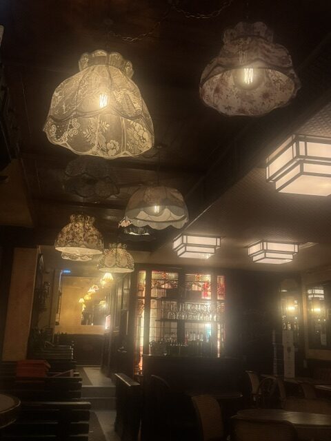 Cafe Fleurus_better closeup of lace covered lights