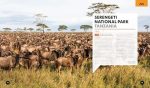 Lonely Planet Where To Go When With Kids - Image 9