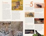 Fodor’s The Complete Guide to African Safaris - Image 9