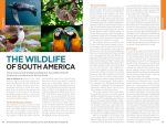 Lonely Planet South America (Travel Guide) - Image 20